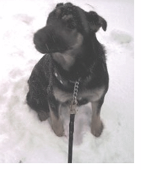 Max first time in the snow picture