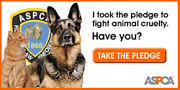 www.aspca.org link